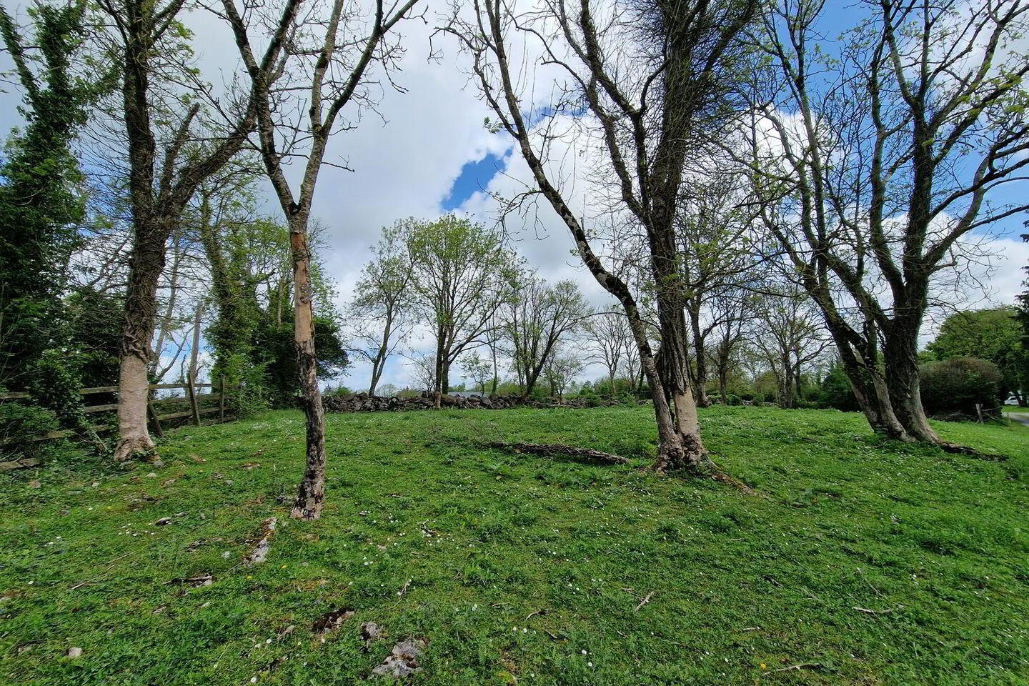 Ballyogan Land 4 of 4