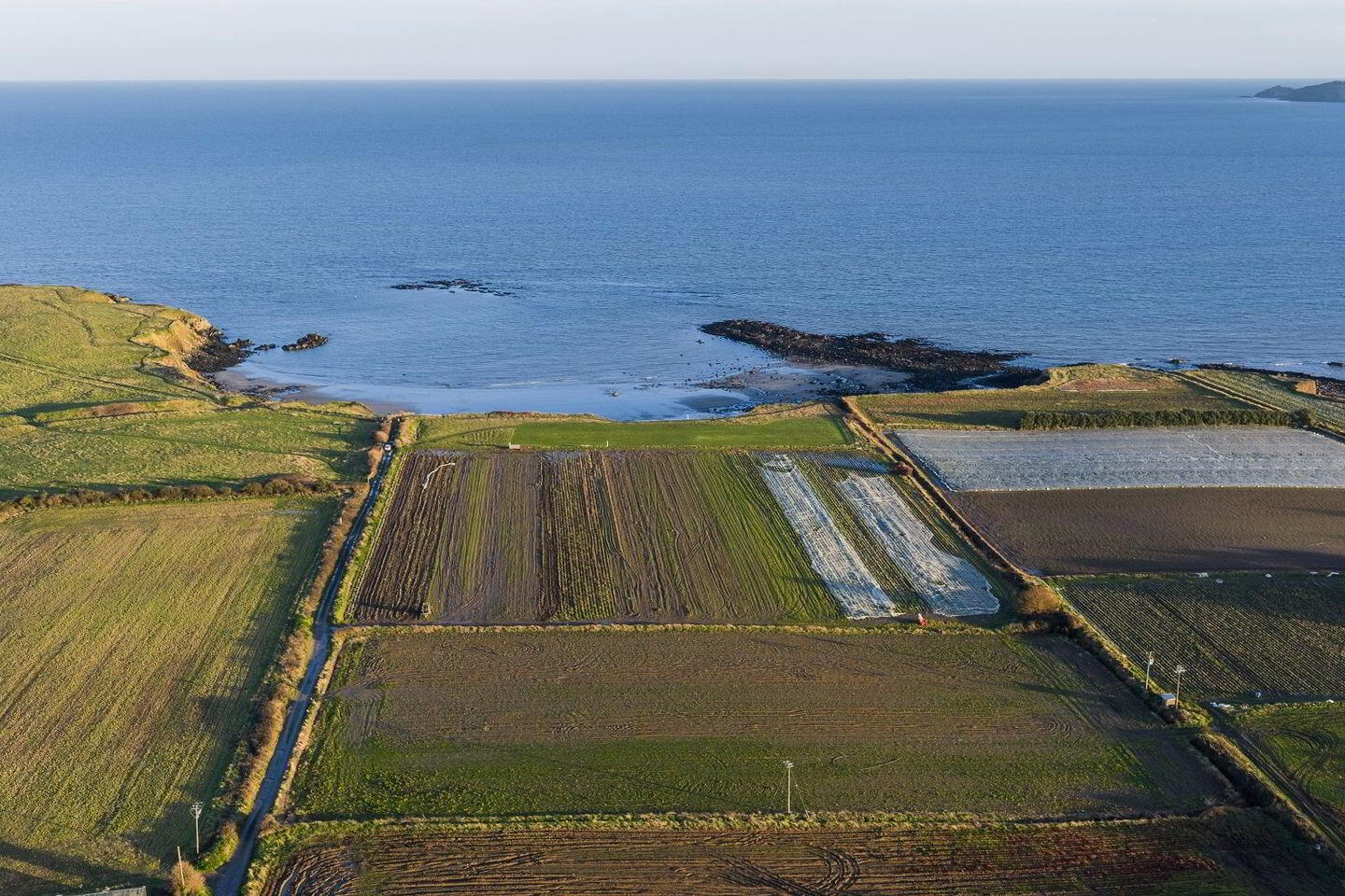 Land At, Loughshinny 7 of 7