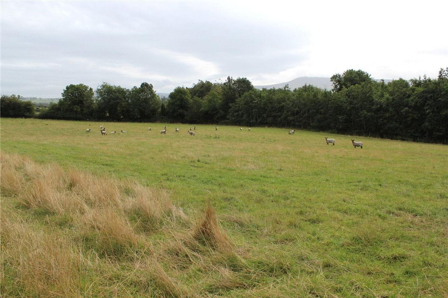 Sites, Corrie Beg 1 of 4