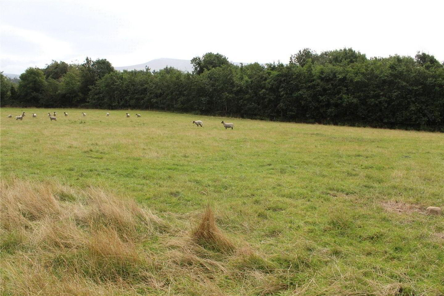 Sites, Corrie Beg 2 of 4
