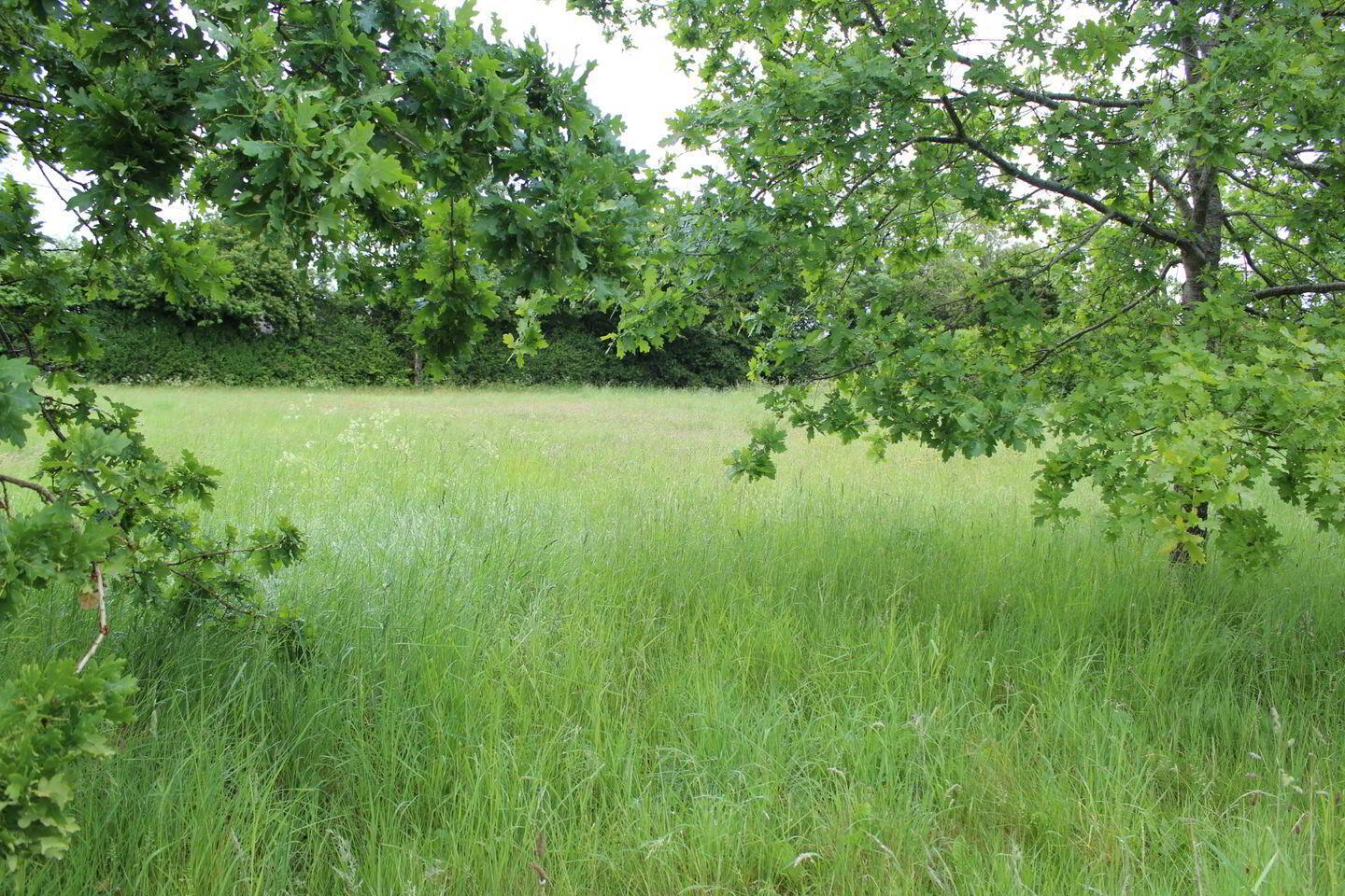 0.75 Acre Site Slyguff 1 of 6