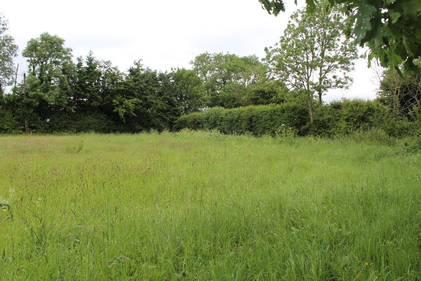 0.75 Acre Site Slyguff 2 of 6