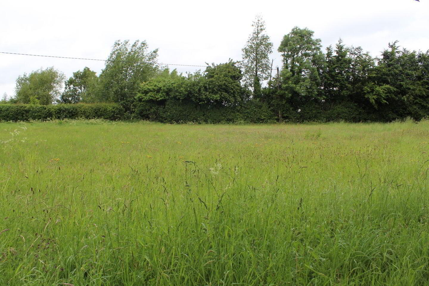 0.75 Acre Site Slyguff 6 of 6