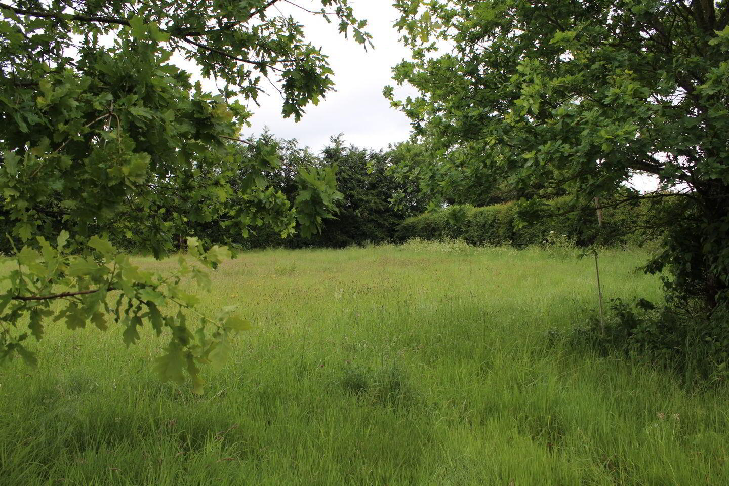 0.75 Acre Site Slyguff 7 of 8