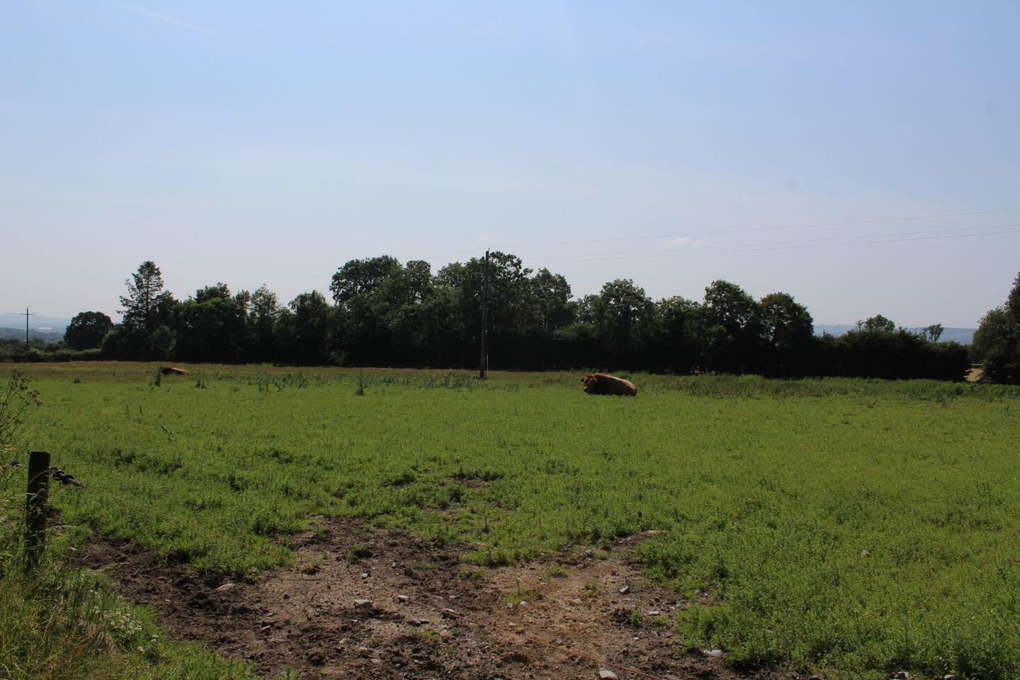 75 Acre Site 2 of 6