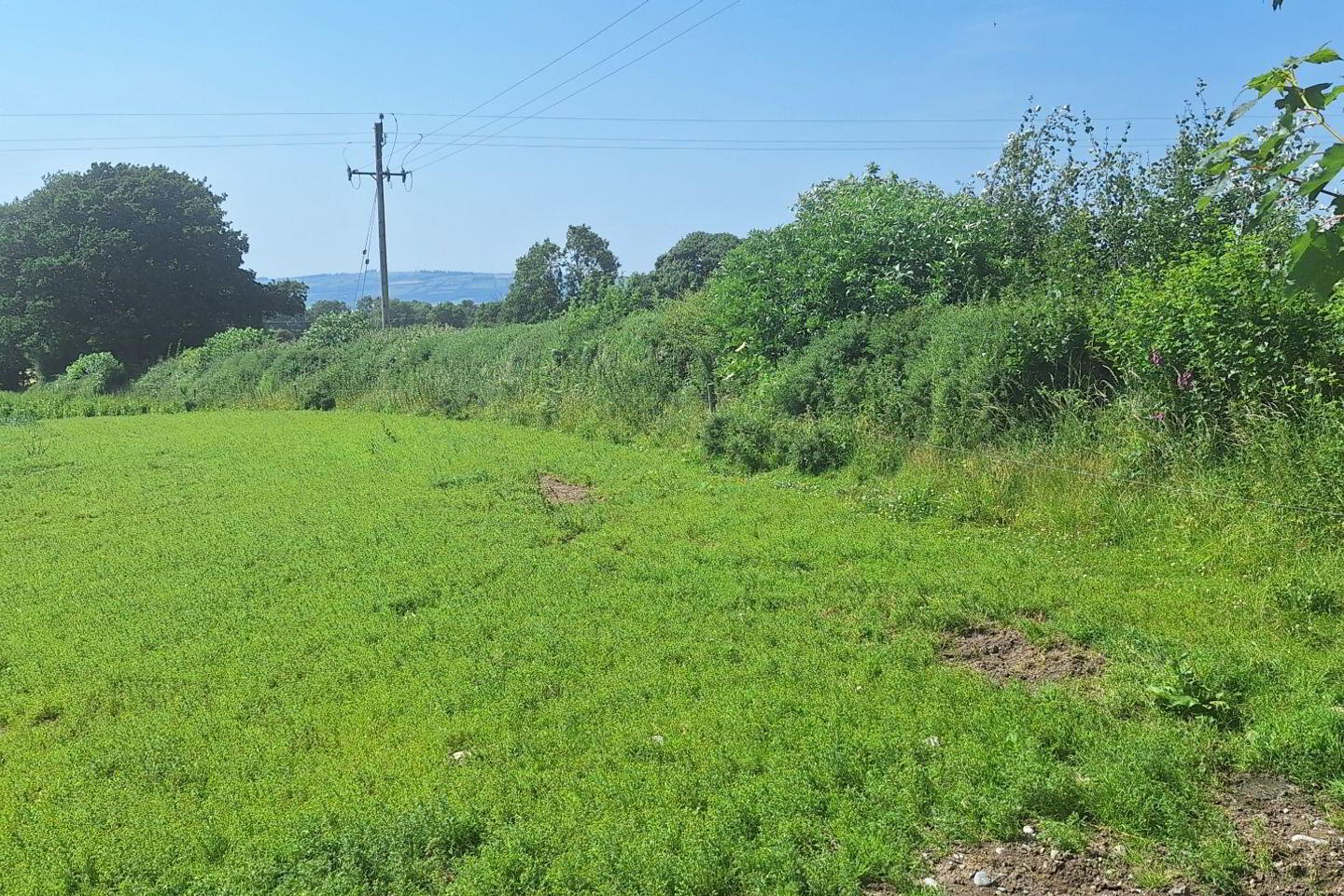 75 Acre Site 3 of 6