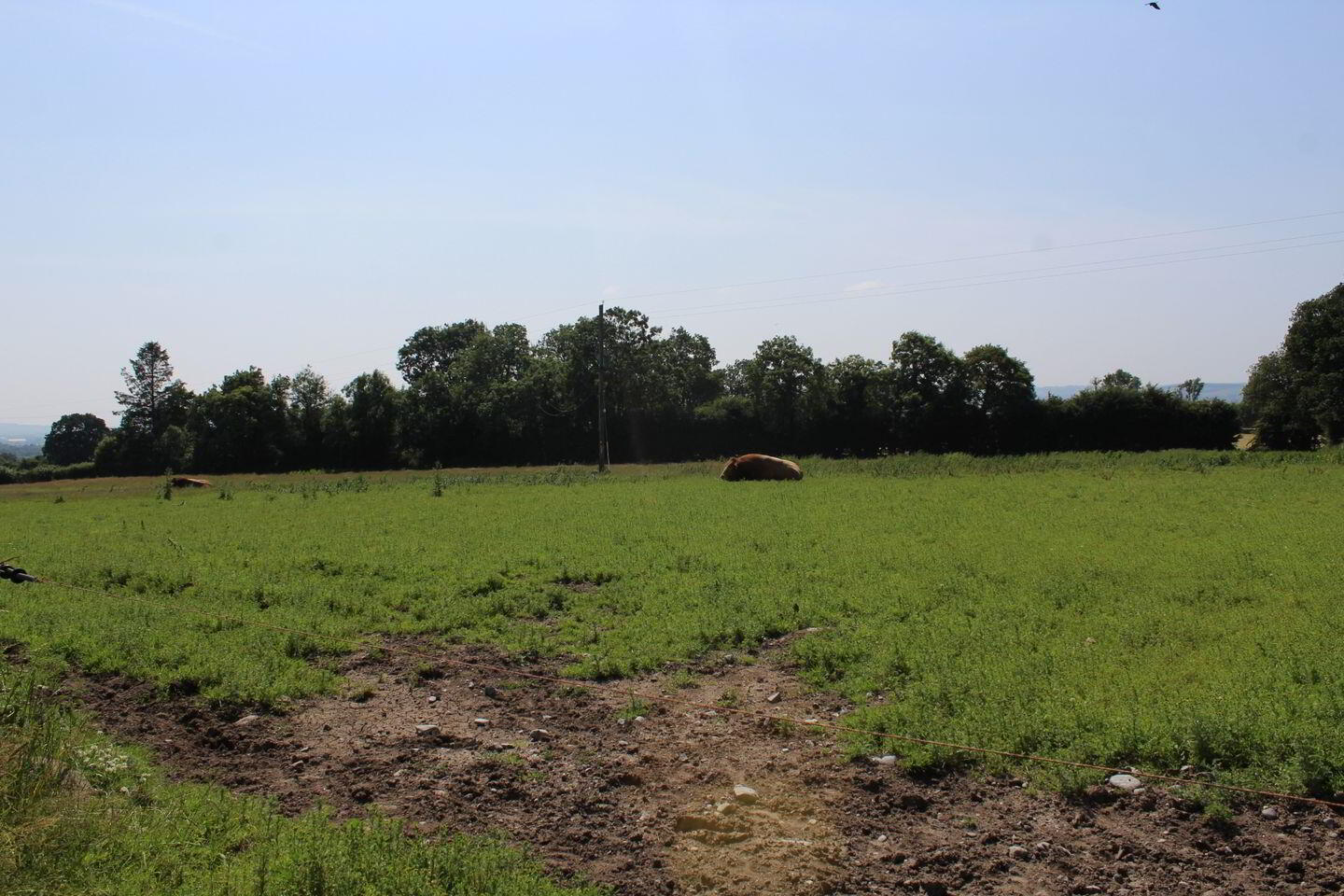 75 Acre Site 5 of 6