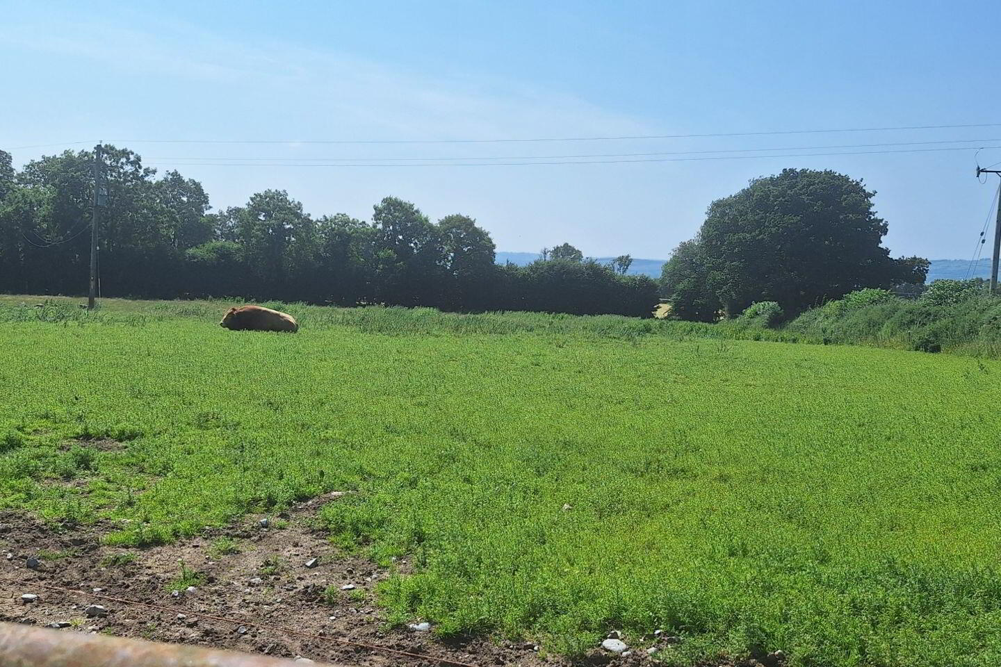 75 Acre Site 6 of 6