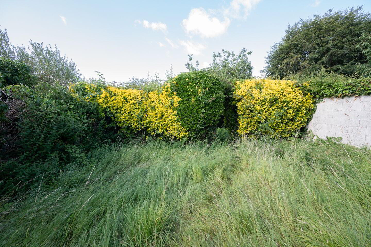 Hollymount, 60 Hartlands Avenue 3 of 5