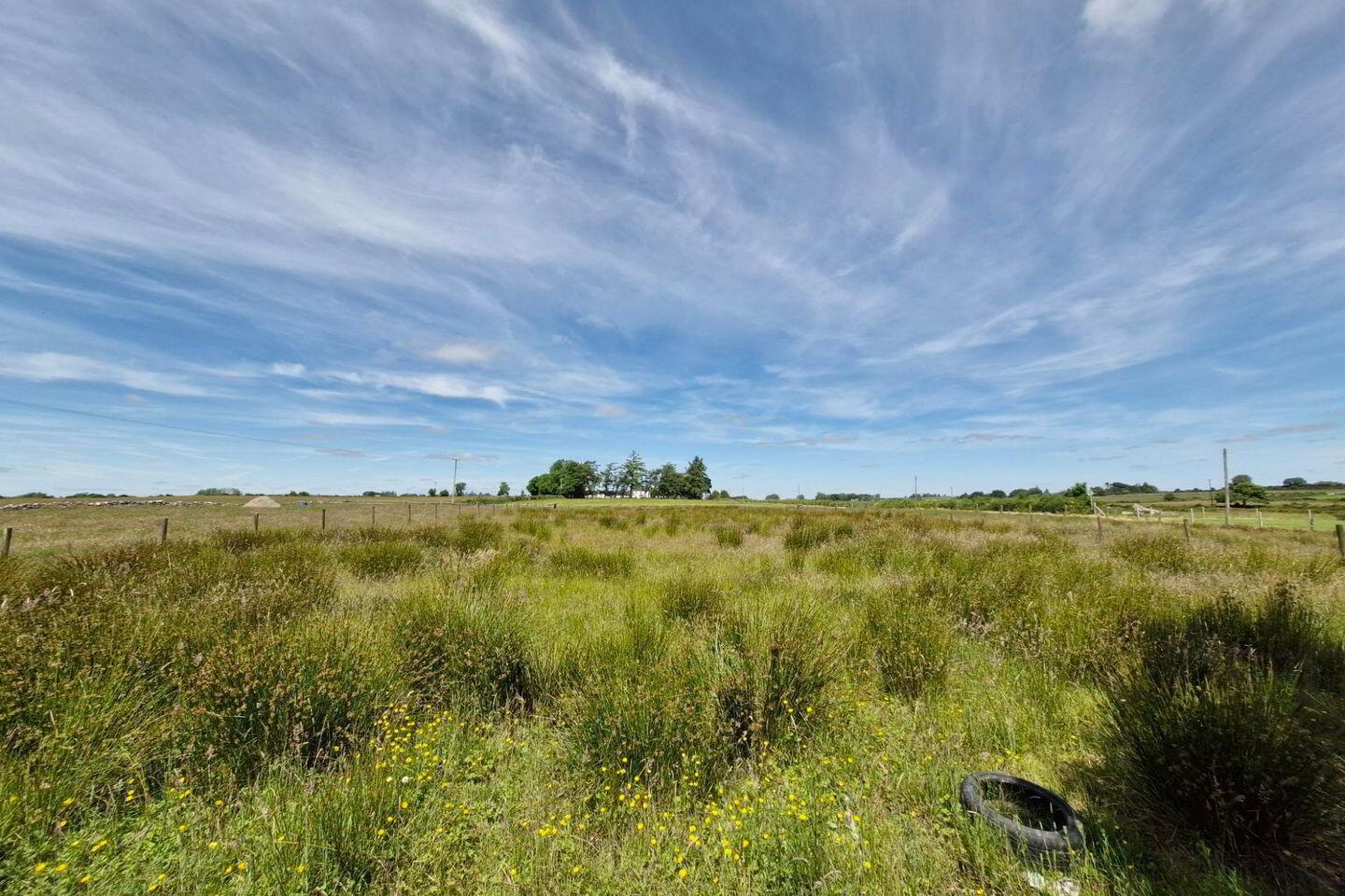 Brierfield Burke 2 of 5