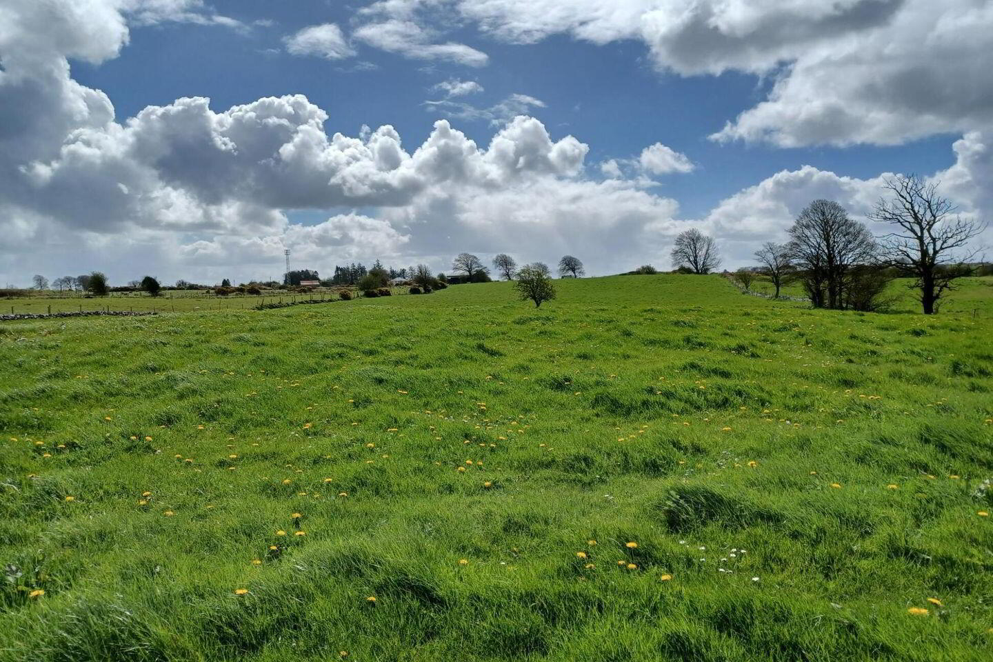 0.69 Acre Site With, F P.p 1 of 5