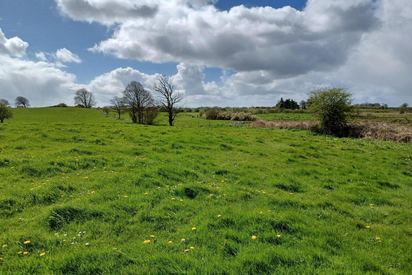 0.69 Acre Site With, F P.p 2 of 5