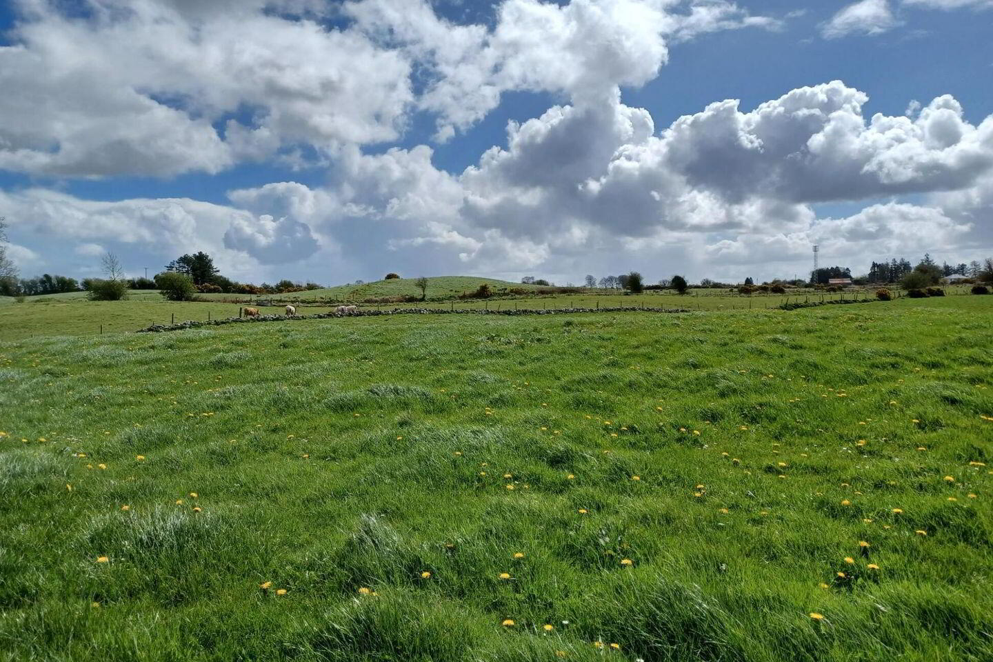 0.69 Acre Site With, F P.p 3 of 5