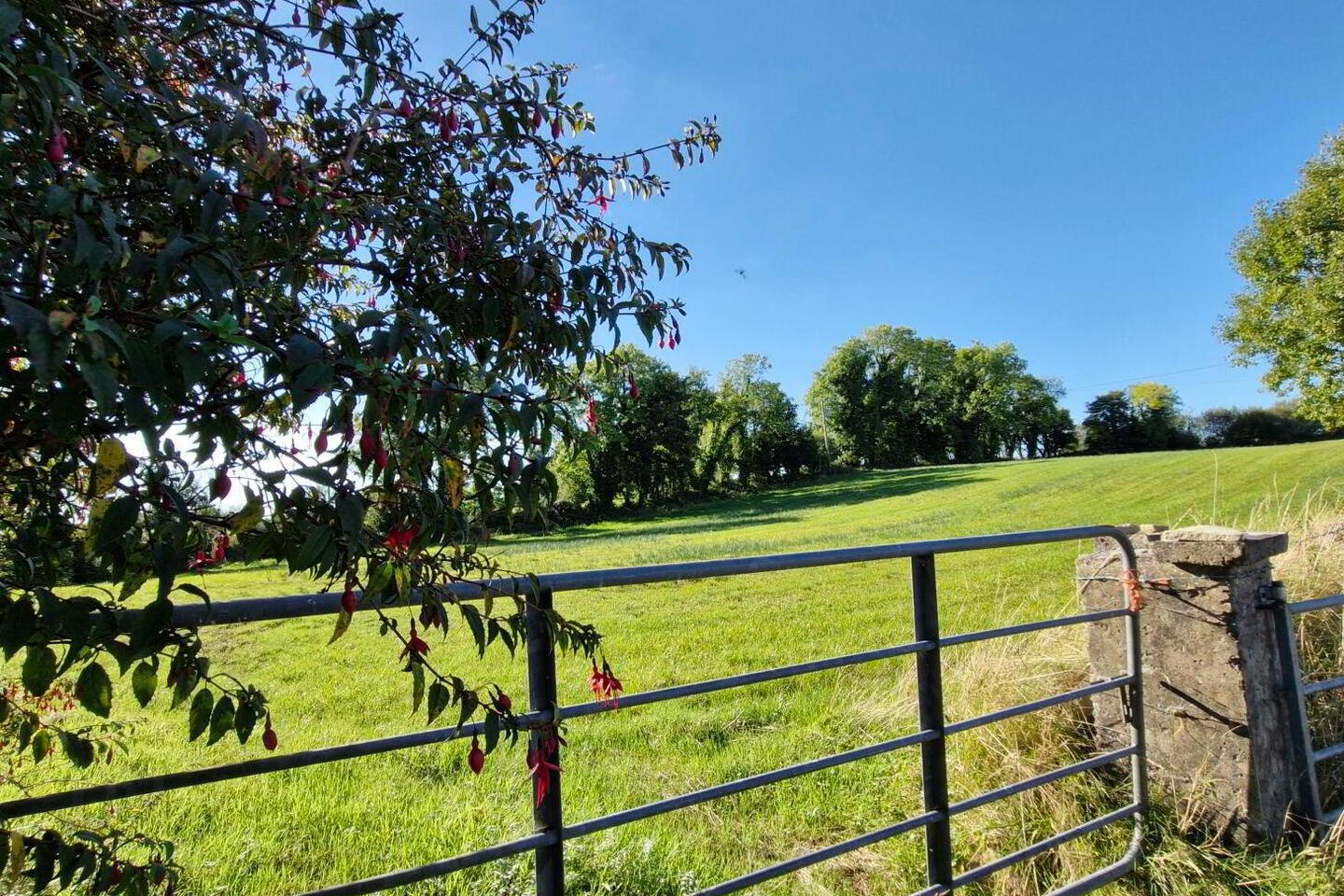 1.97 Acre Site In Gortnalea 7 of 8