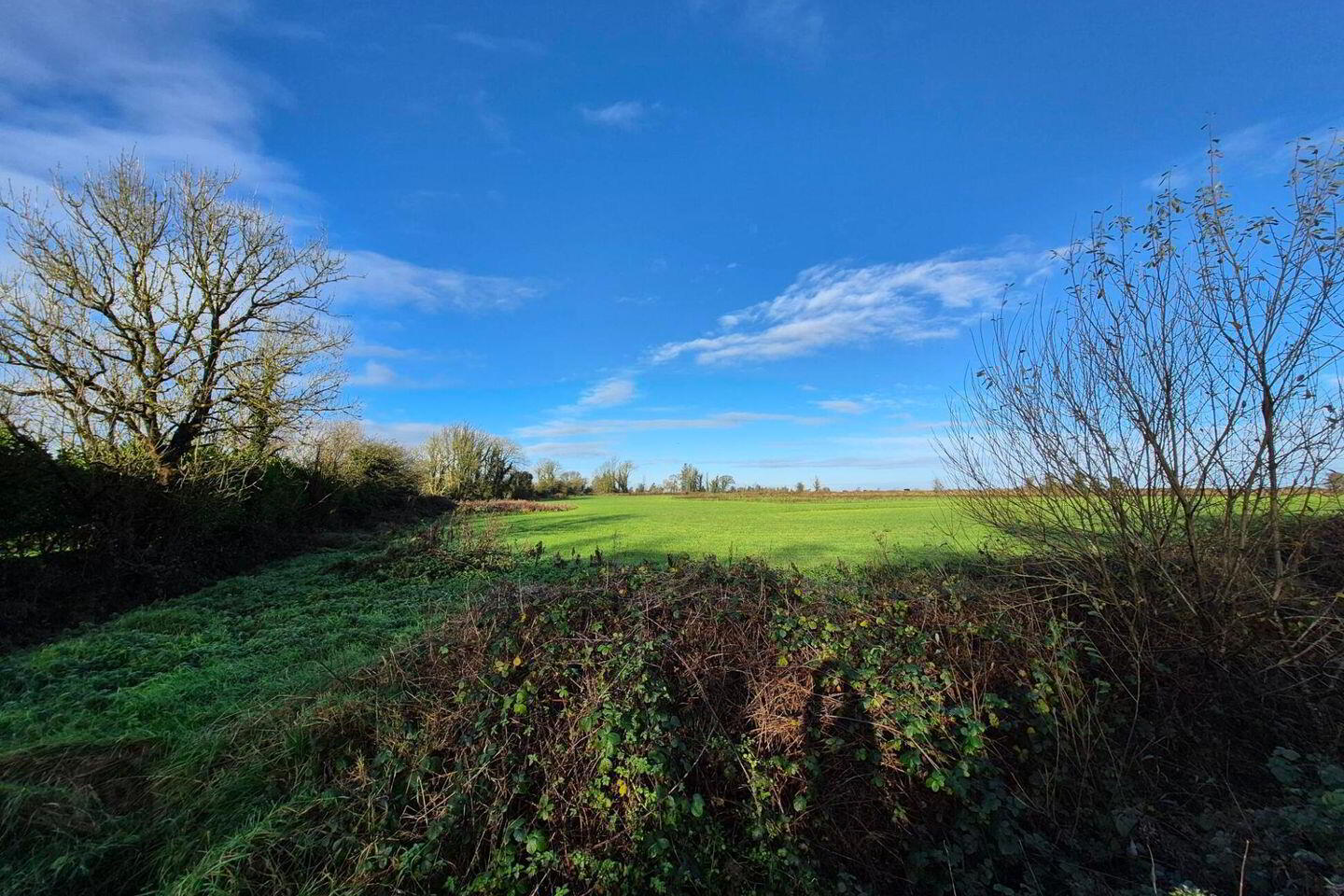 0.6 Acre Site In Springlawn 2 of 4