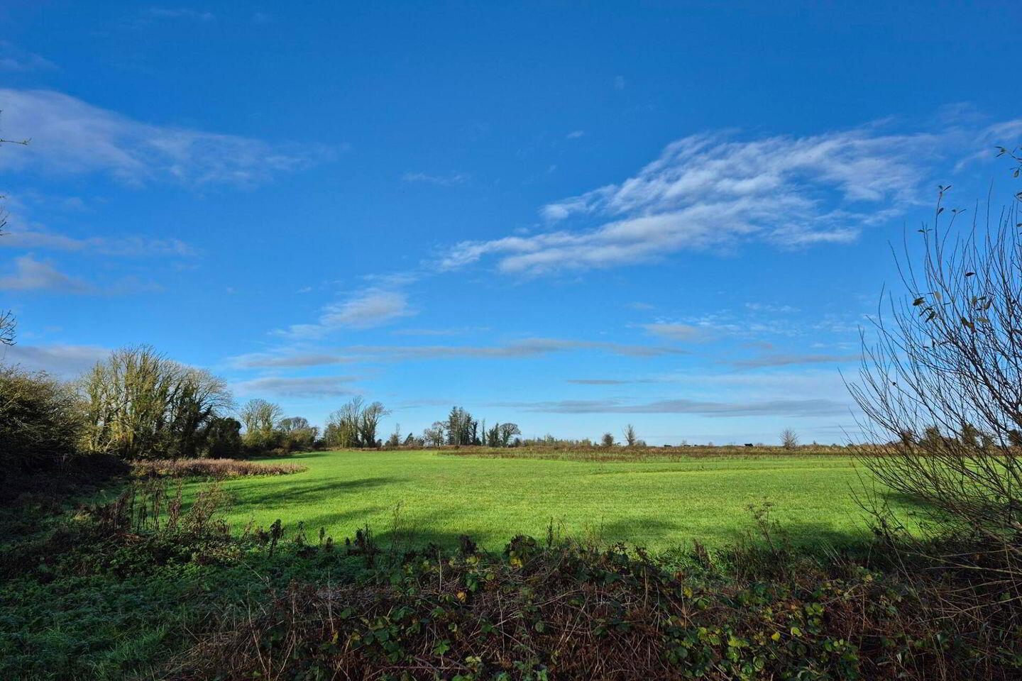 0.6 Acre Site In Springlawn 3 of 4