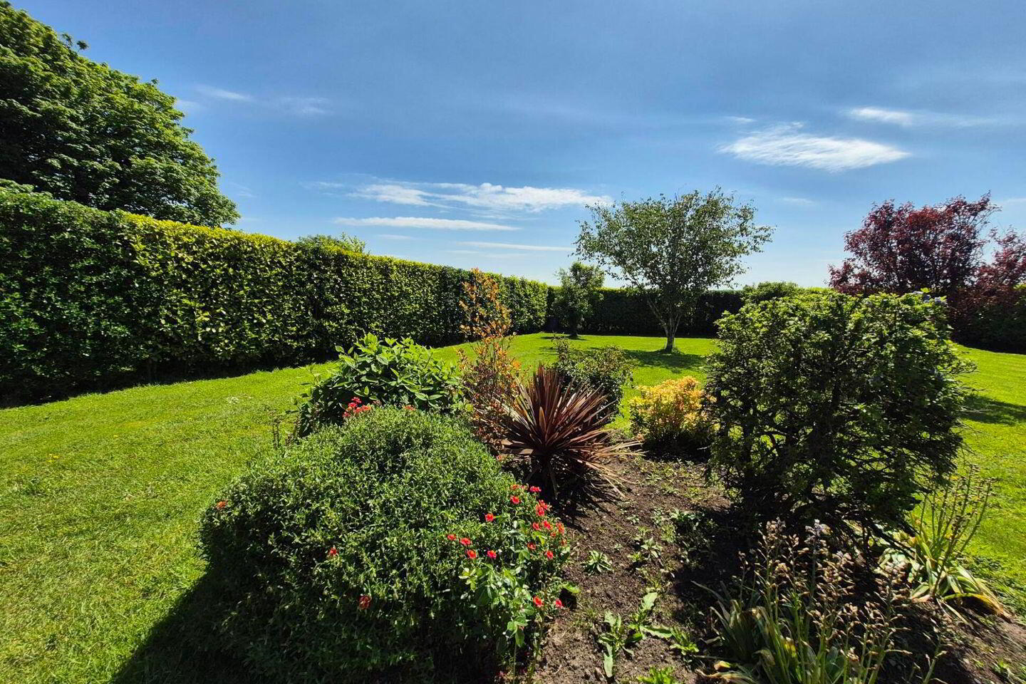 Ballywataire 32 of 32