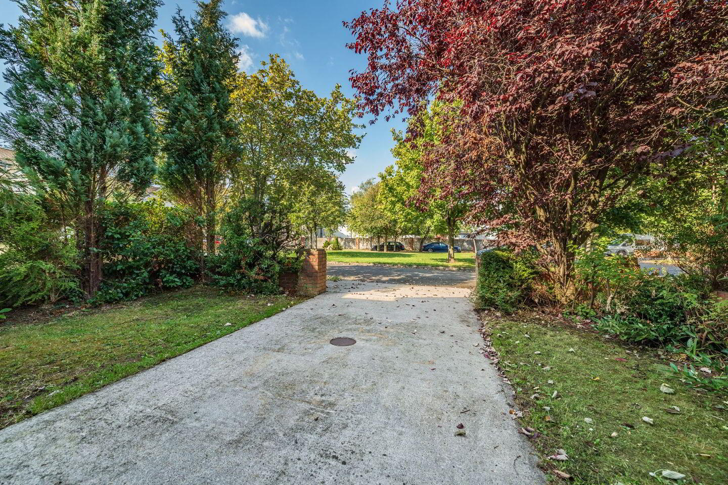 31 Caragh Green 16 of 17