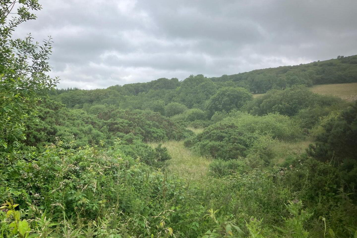 6.94 Acres At, Ballysallagh 1 of 4