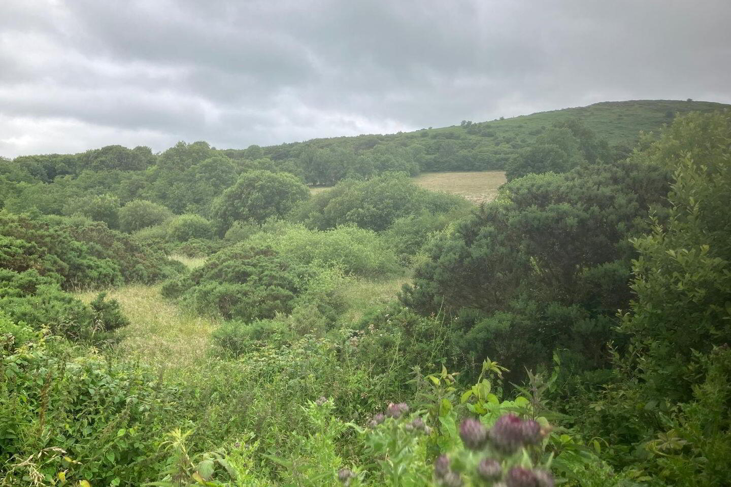 6.94 Acres At, Ballysallagh 4 of 4