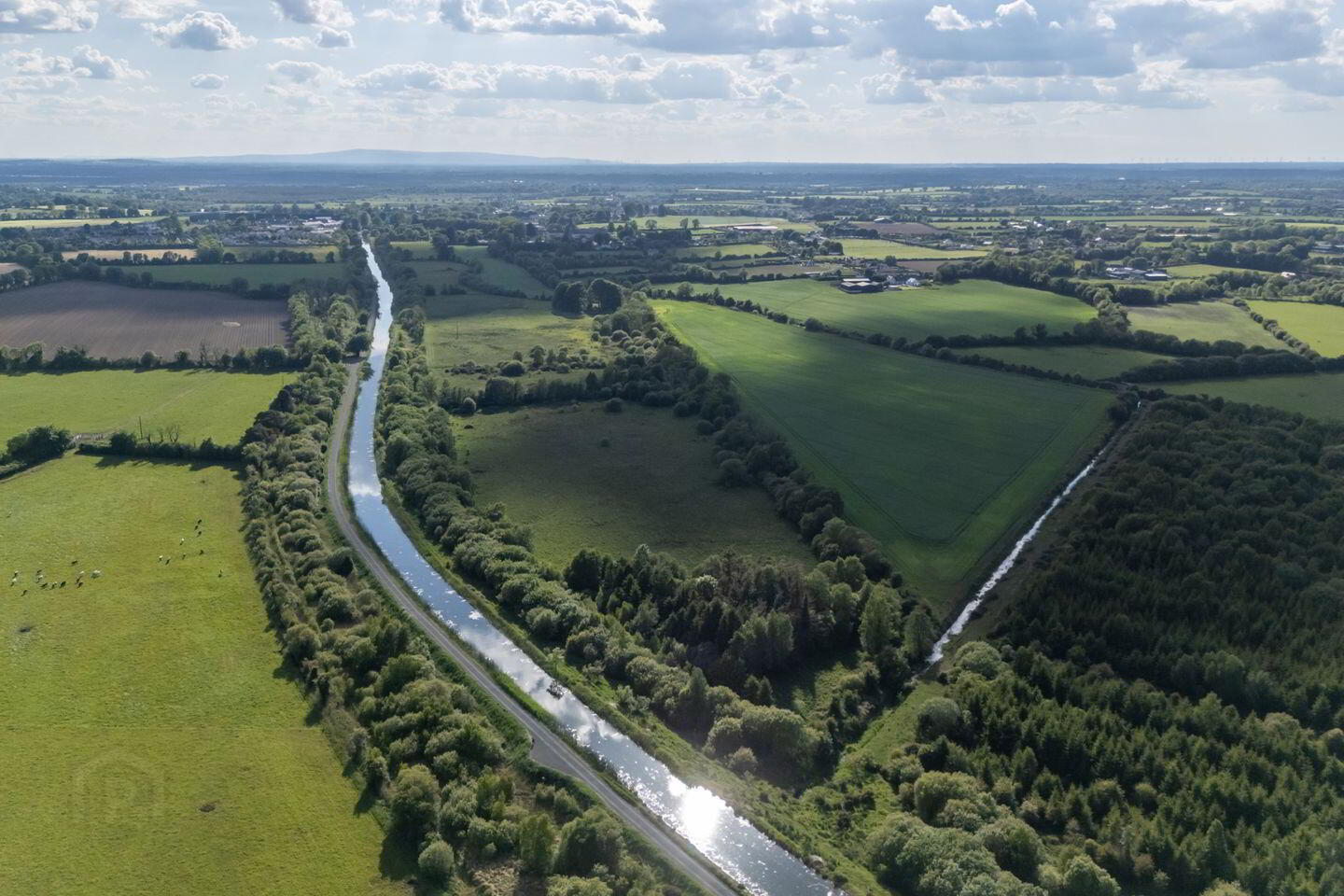 42.406 Acres, 17.16 Hectares 4 of 4