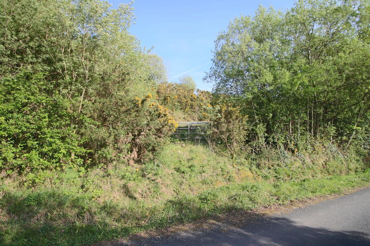 Corrabeagh 1 of 4