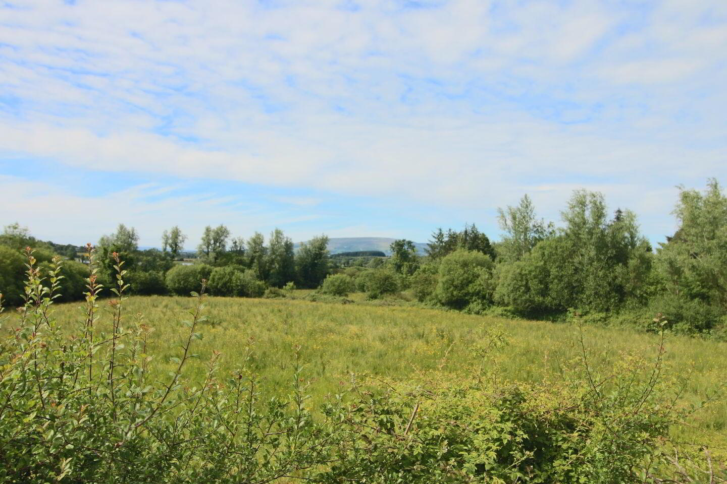 Effrinagh 34 of 35