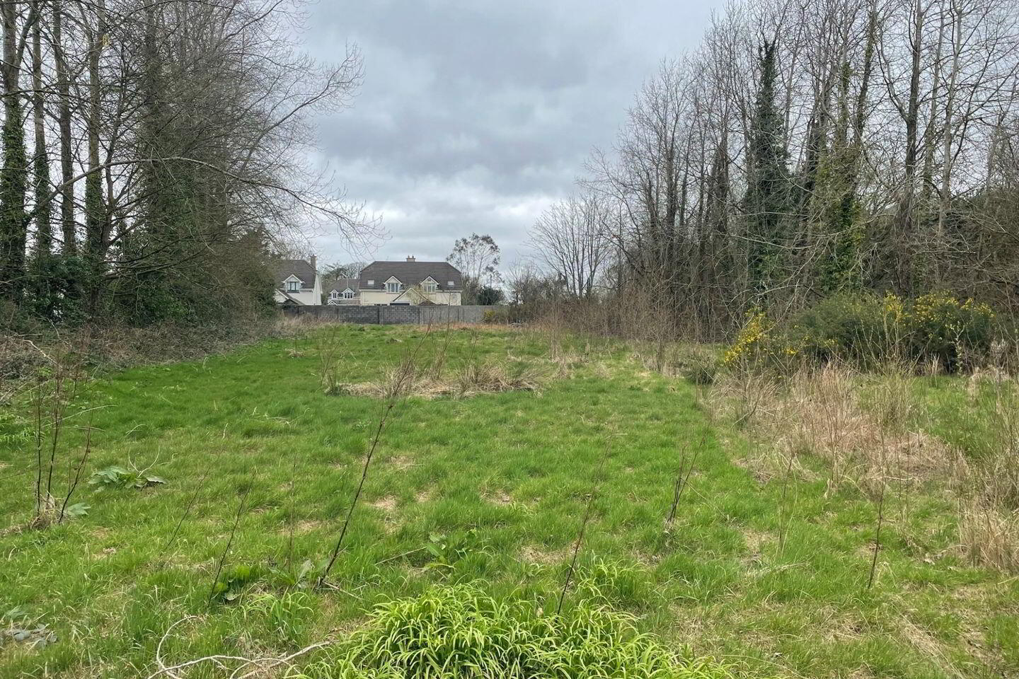 Clongeen Site 2 of 4