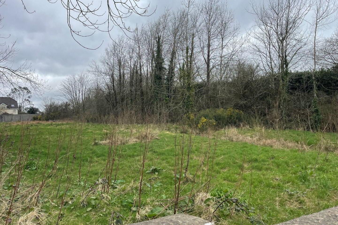 Clongeen Site 3 of 4