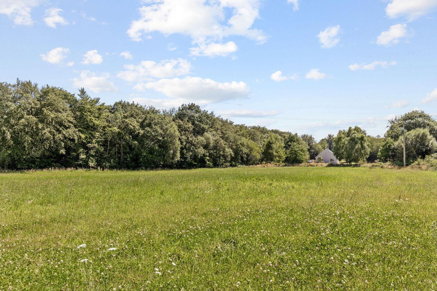 Site 3.3 Acres 4 of 4