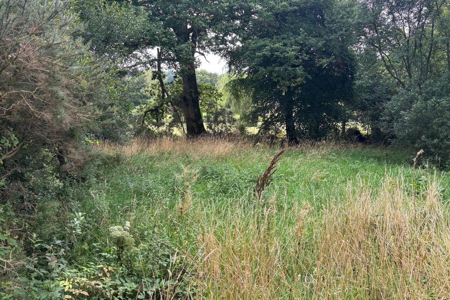 Site, SPP At Annagh Middle 4 of 4