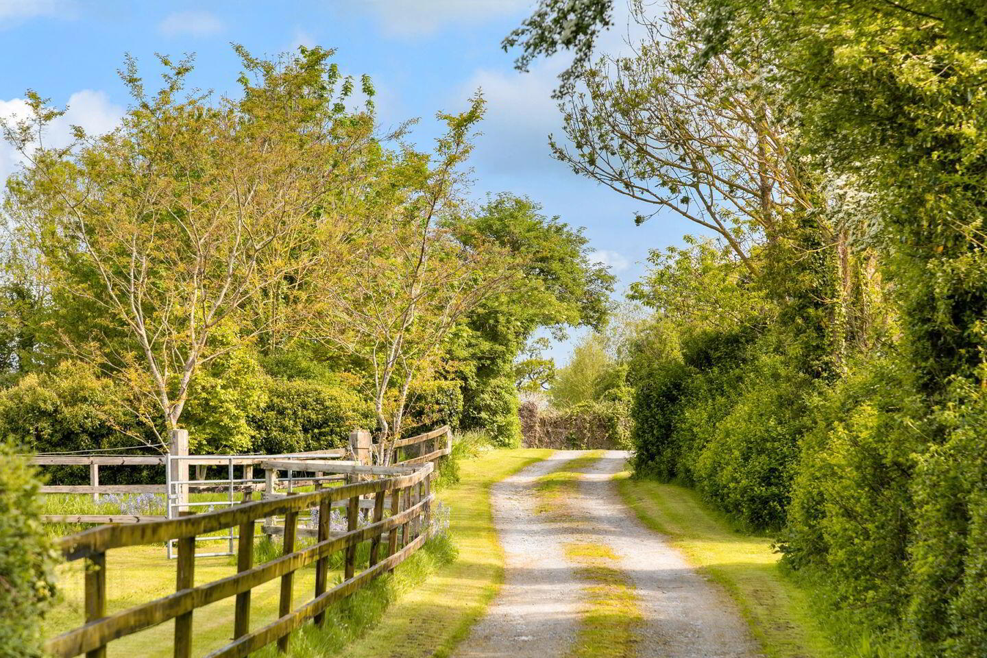 Ballylanigan House 6 of 7
