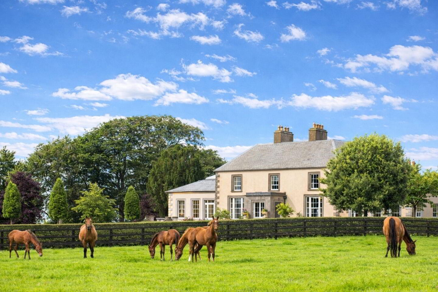 Triermore House, And Stud Farm 2 of 6
