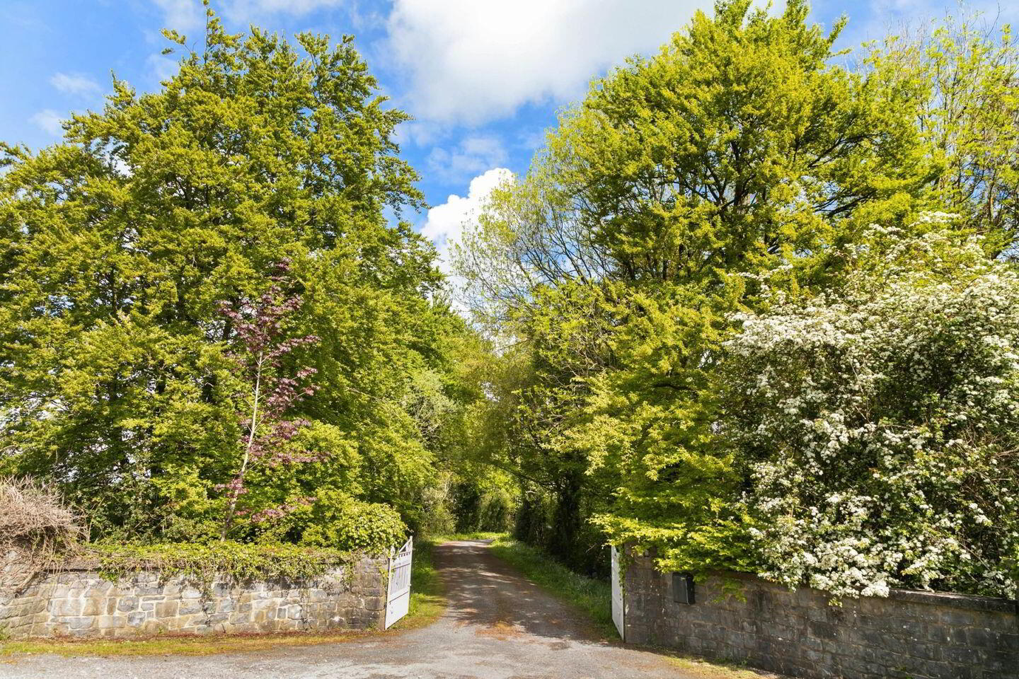 Ballylanigan House 5 of 6
