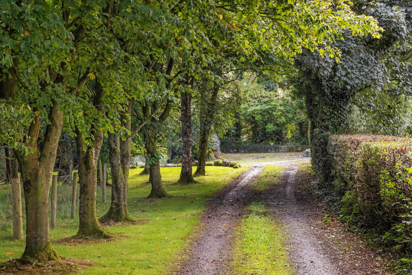 96 Old Ballynahinch Road 40 of 41