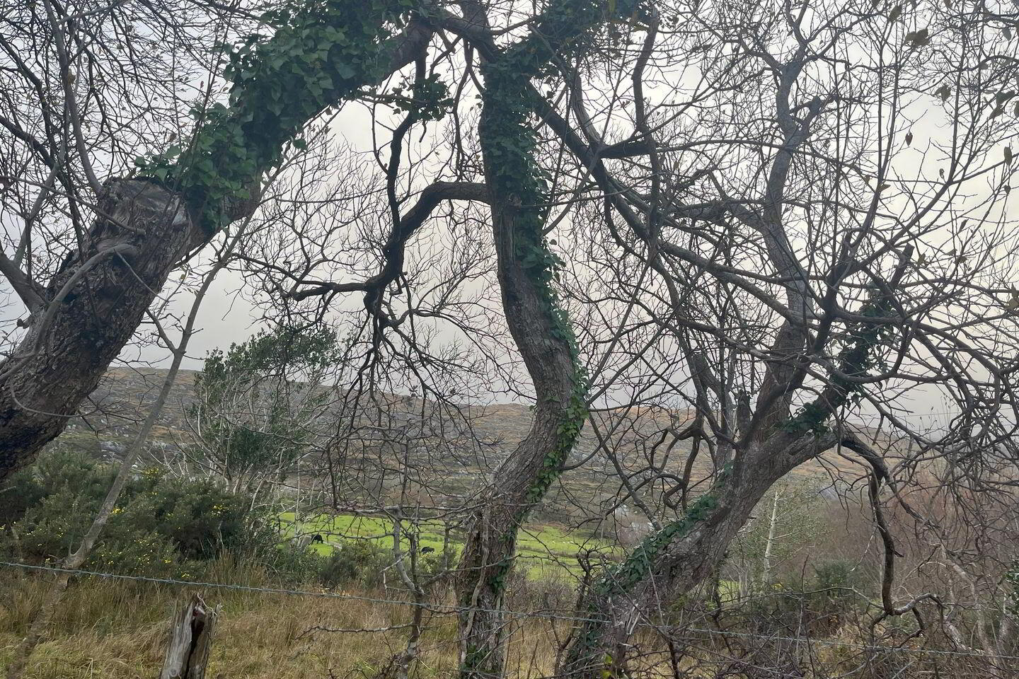 Ref, 1090 Site At Brackaharagh 4 of 4
