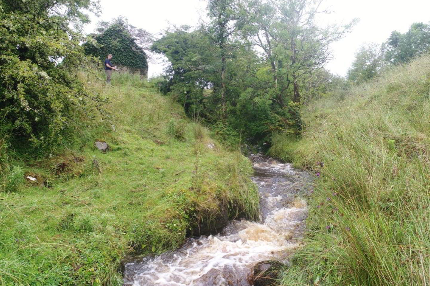 Two Storey And Cottage With Stream 9 of 10