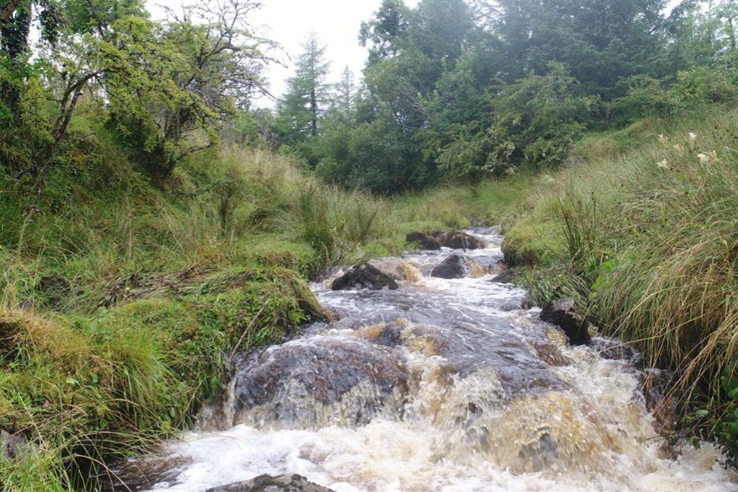 Two Storey And Cottage With Stream 10 of 10