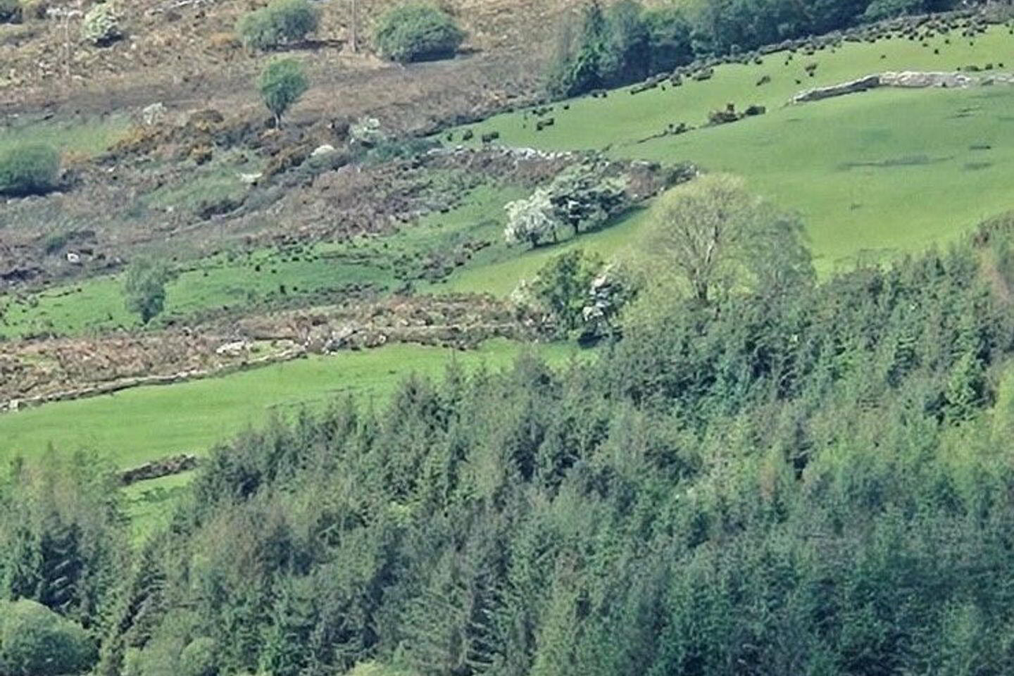 Carhoomeengar East, Kenmare 28 of 28