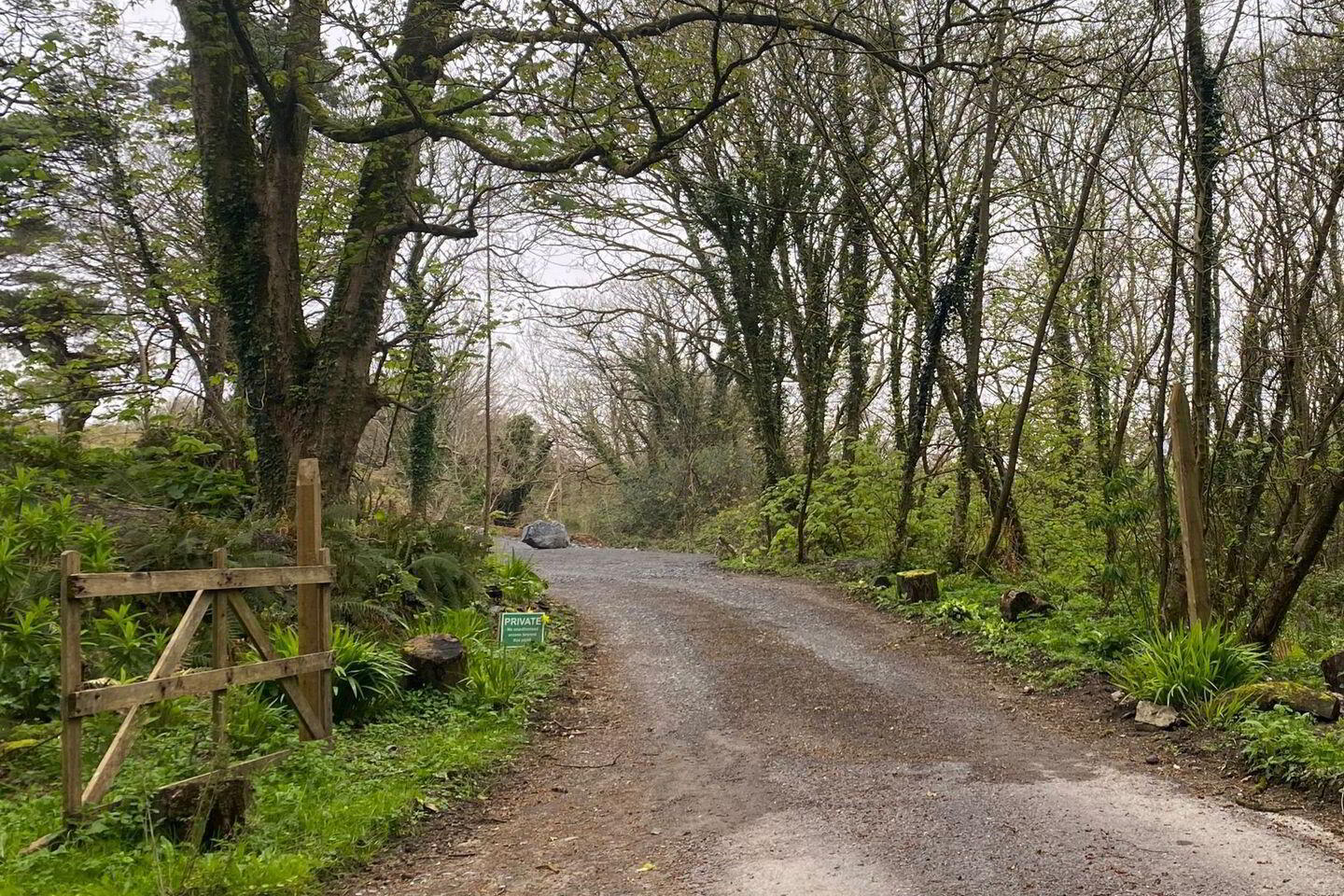 2.8 Acre Site At S @ Ringroe 2 of 9