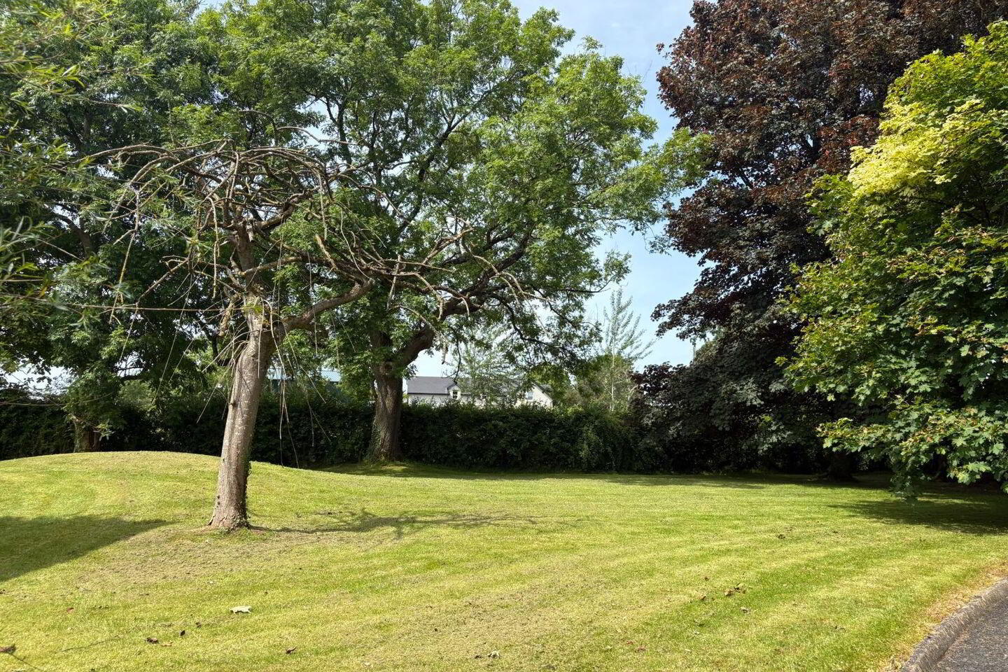The Grove, Tuogh 48 of 49