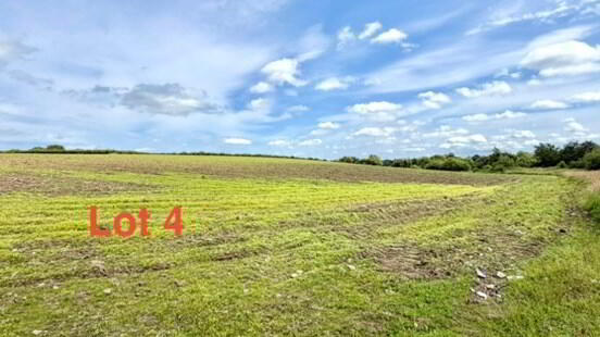 C. 7.8 Acres On The Street 2 of 4