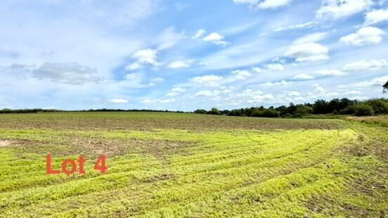 C. 7.8 Acres On The Street 3 of 4