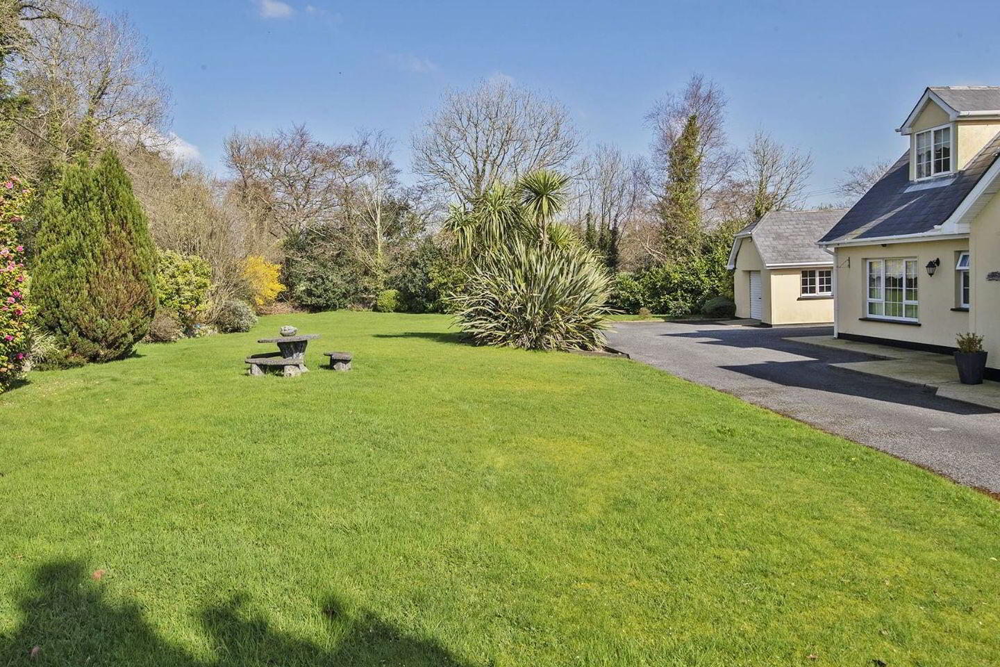 Mahon View 50 of 51