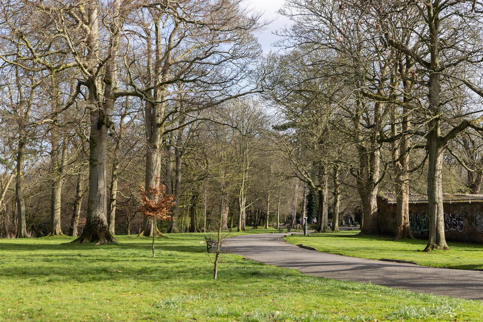 Site, 14-16 Lancedean Road 14 of 15