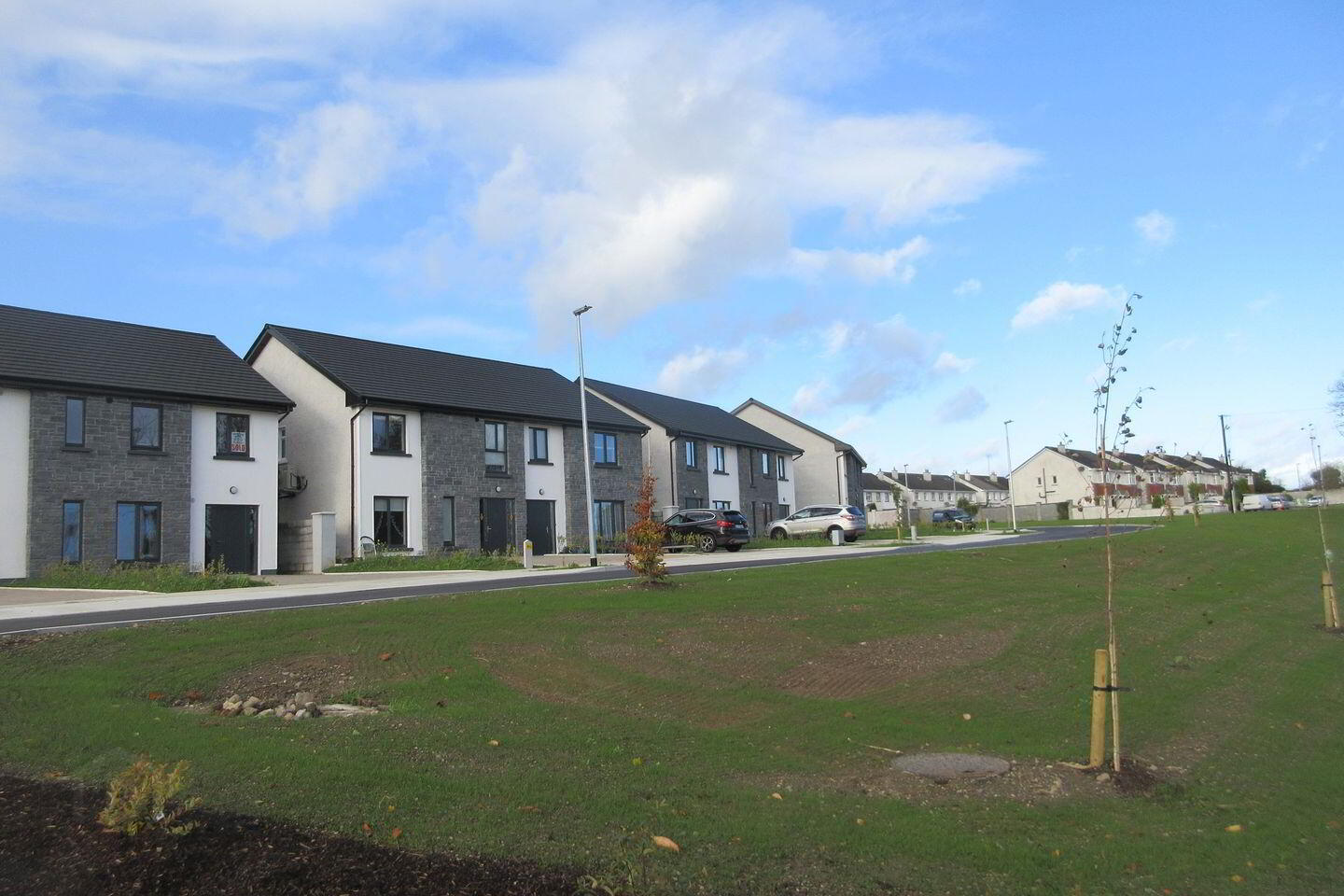 38 Lus Na Greine 2 of 3