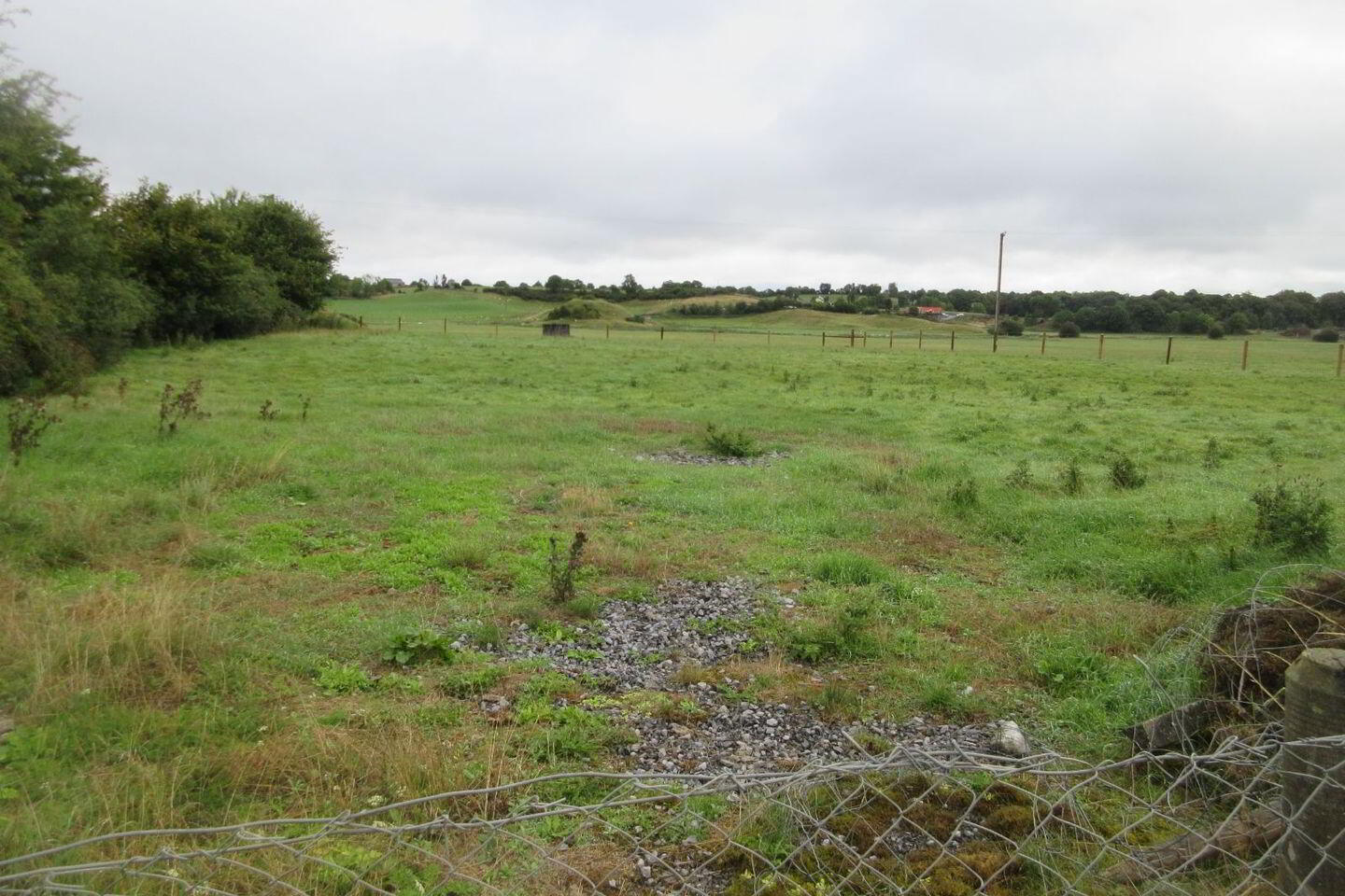 Corrantotan 3 of 3
