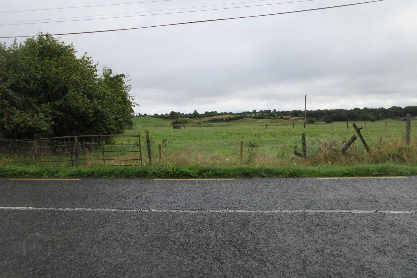 Corrantotan 2 of 3