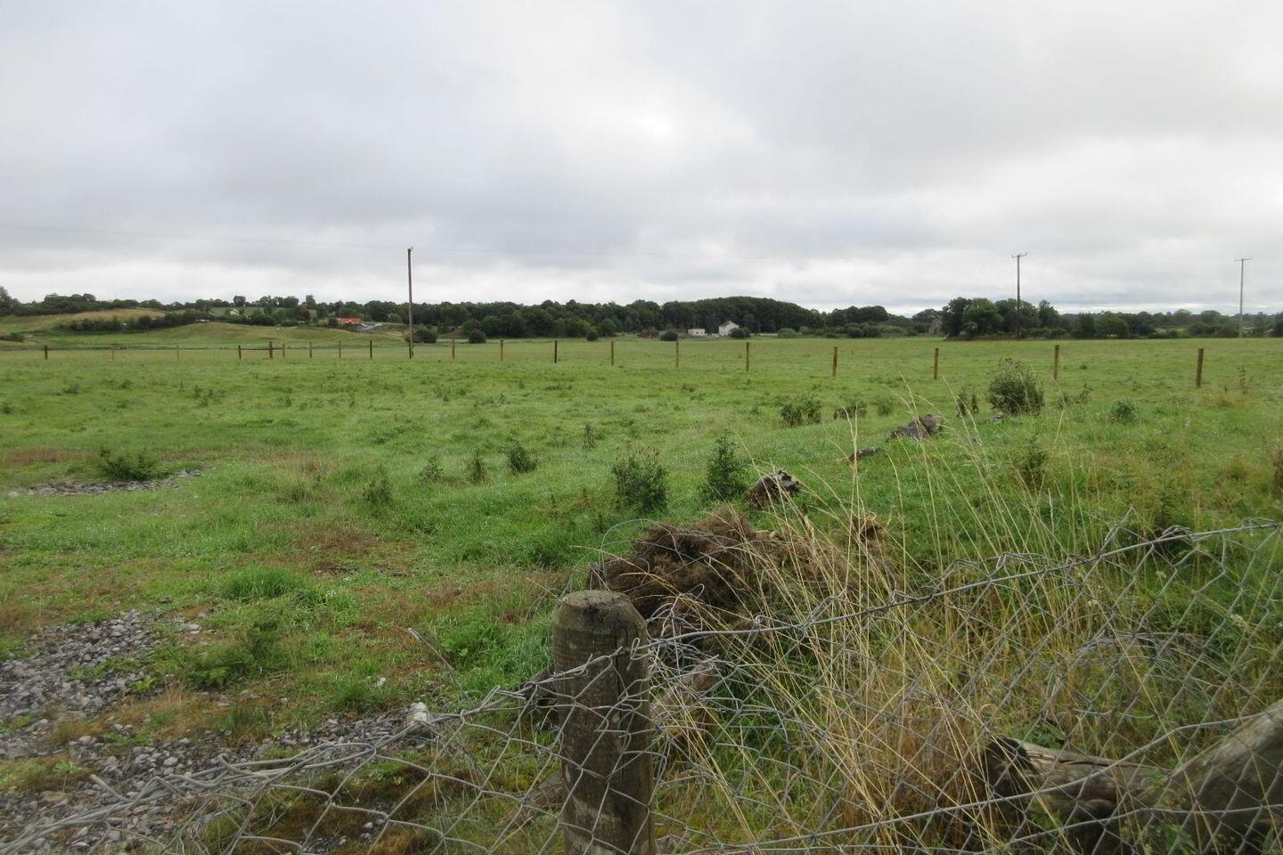 Corrantotan 4 of 5