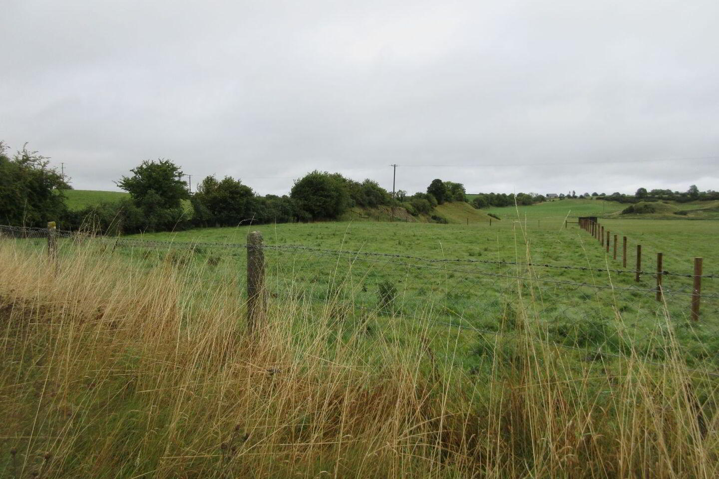 Corrantotan 5 of 5